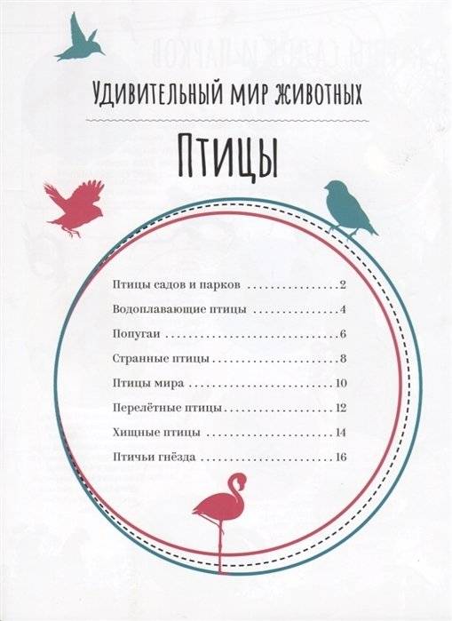 Птицы фото книги 4