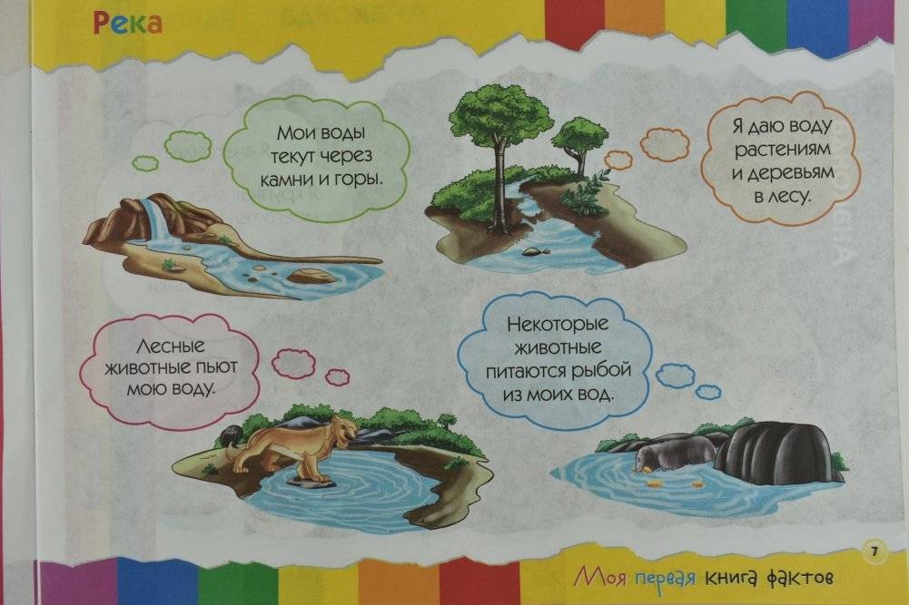 Моя первая книга фактов. Джунгли фото книги 2