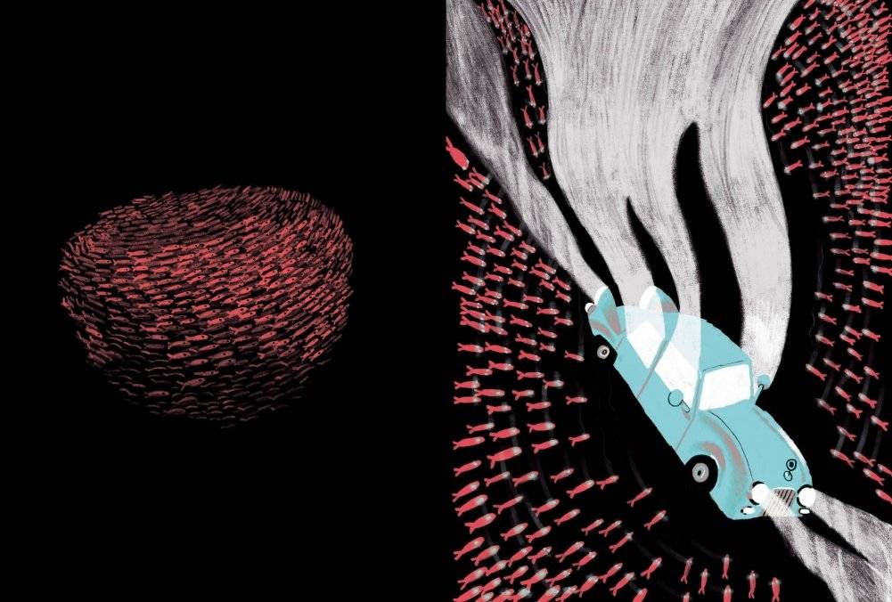 Голубая машинка фото книги 3