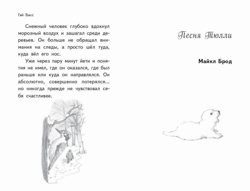 Чудеса в полярную ночь фото книги 4