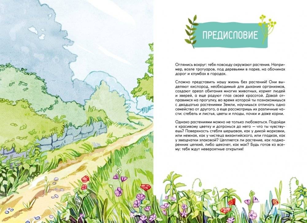 Растения вокруг нас фото книги 3
