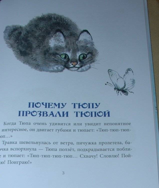 Почему Тюпа не ловит птиц. Рассказы фото книги 4