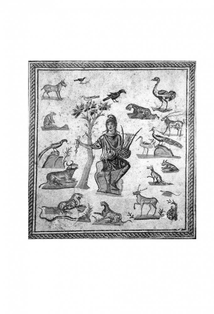 Мифы и притчи классической древности фото книги 3