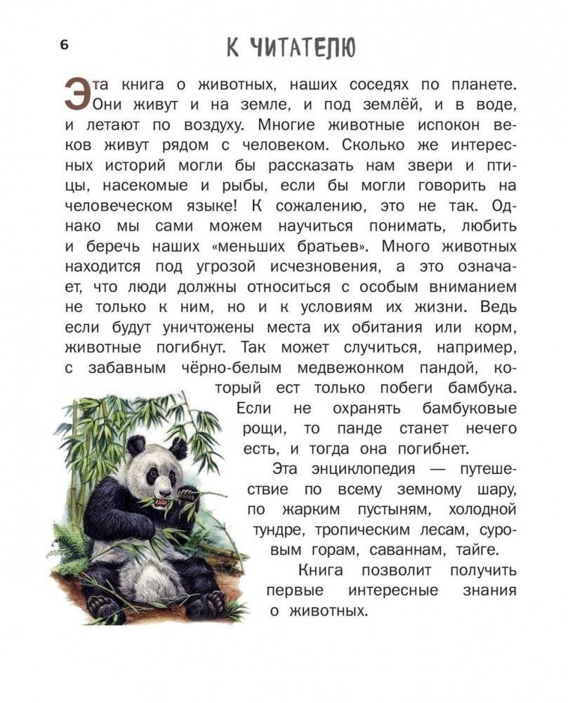 Все животные с крупными буквами фото книги 5