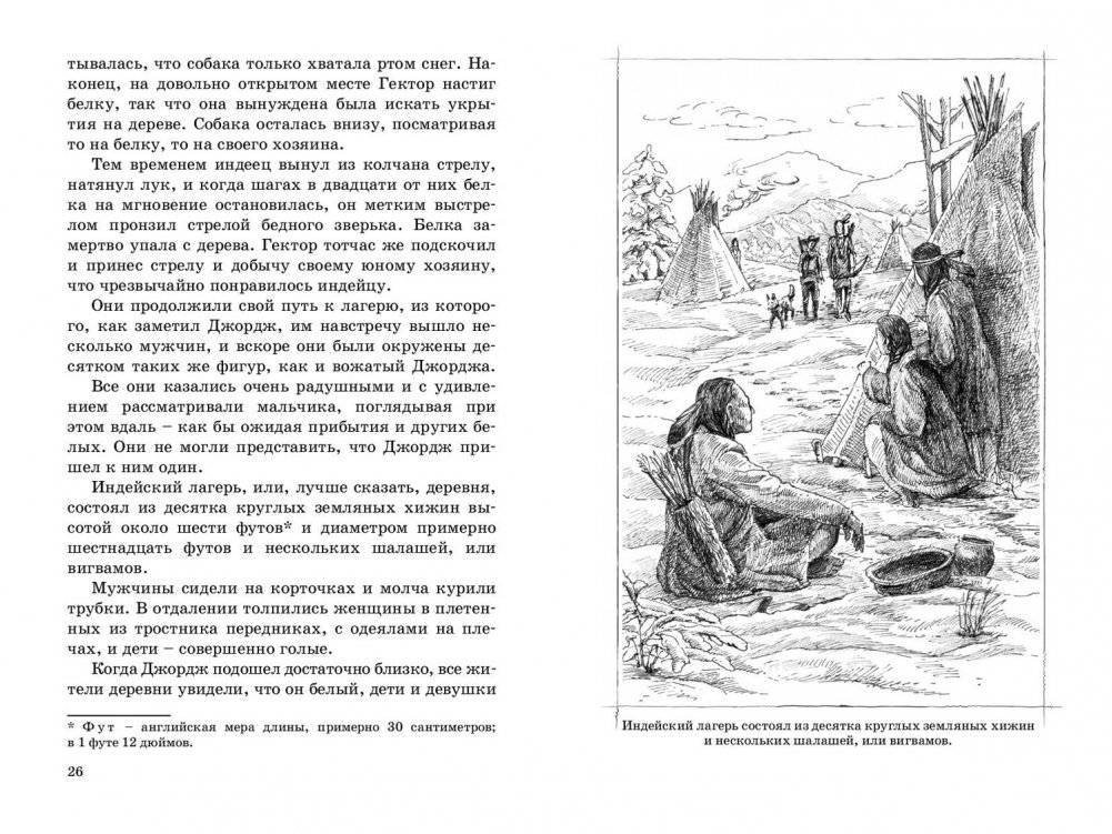 Маленький золотоискатель фото книги 4