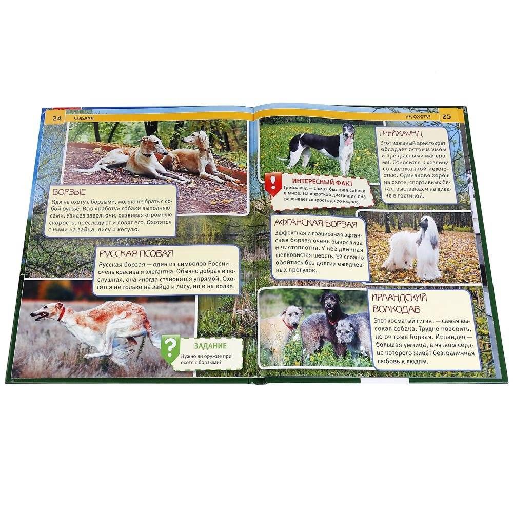 Собаки фото книги 2