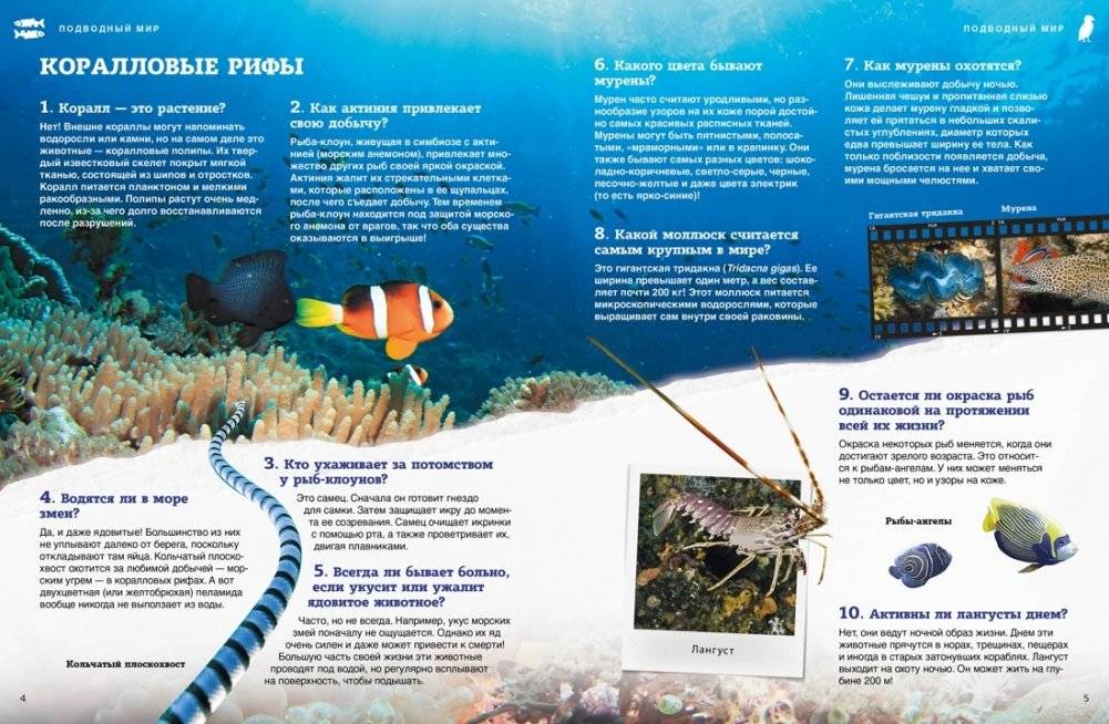 Подводный мир фото книги 3