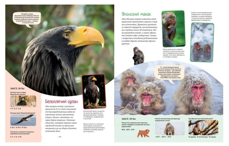 Яркий мир животных фото книги 6
