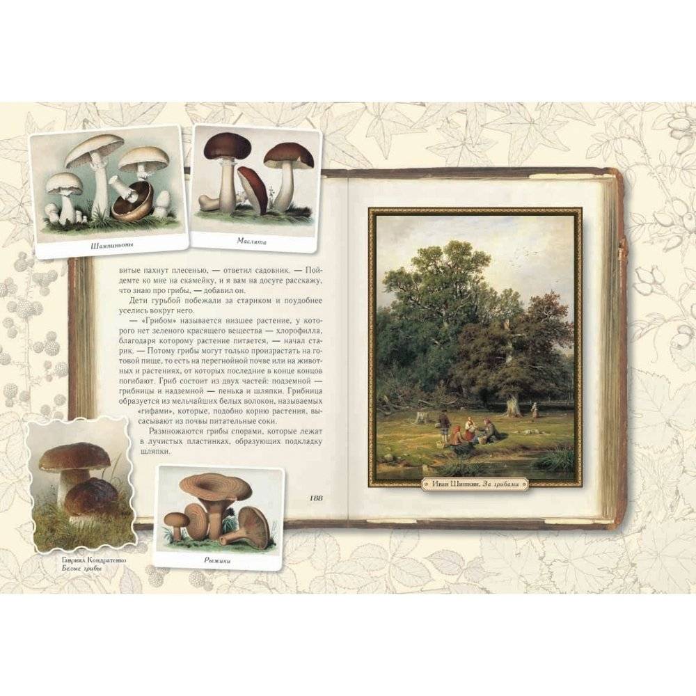 Среди цветов. Рассказы старого садовника фото книги 7