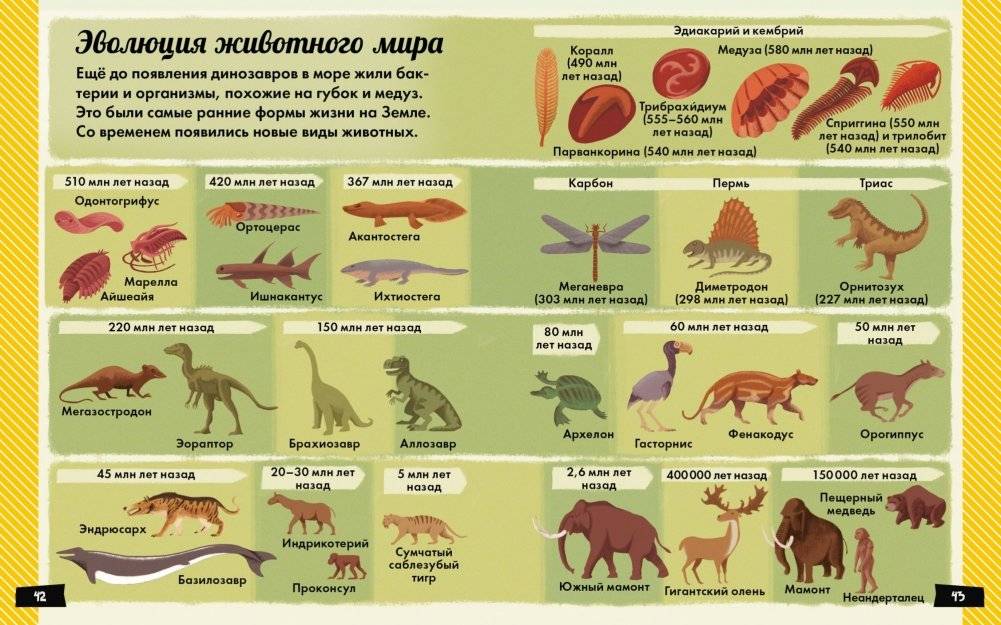 А почему динозавры такие огромные? фото книги 5