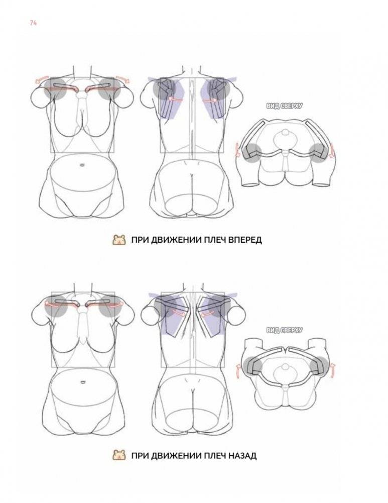 Дизайн женских аниме-персонажей. Туториалы от азиатских художников фото книги 15