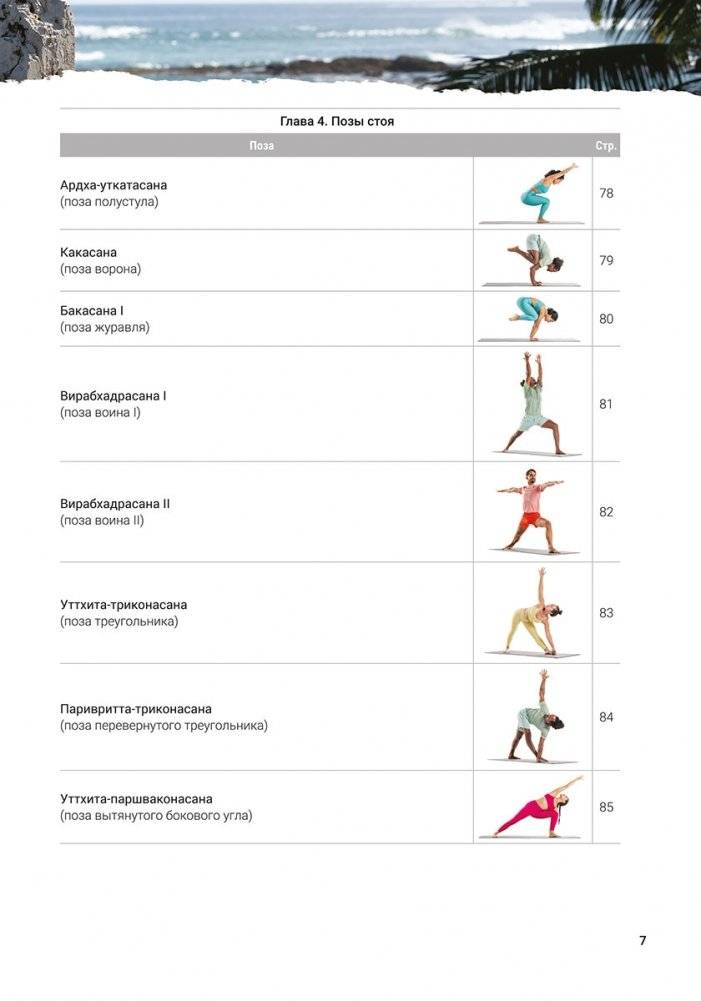 Рокет-йога: Руководство по прогрессивной аштанга-виньяса-йоге фото книги 5