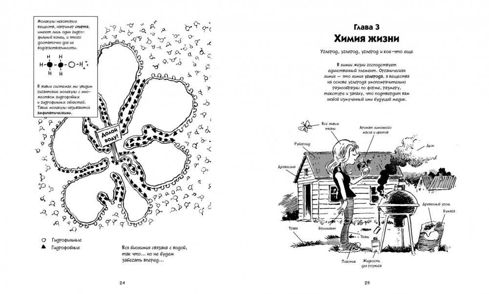 Биология. Краткий курс в комиксах фото книги 7