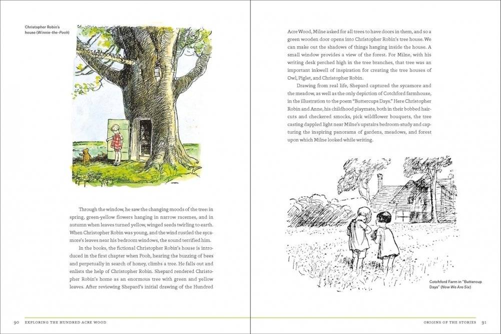 Natural World of Winnie-the-Pooh фото книги 4