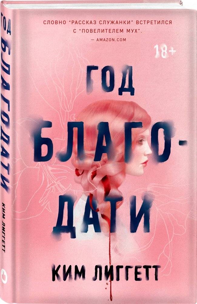 Год благодати фото книги 2