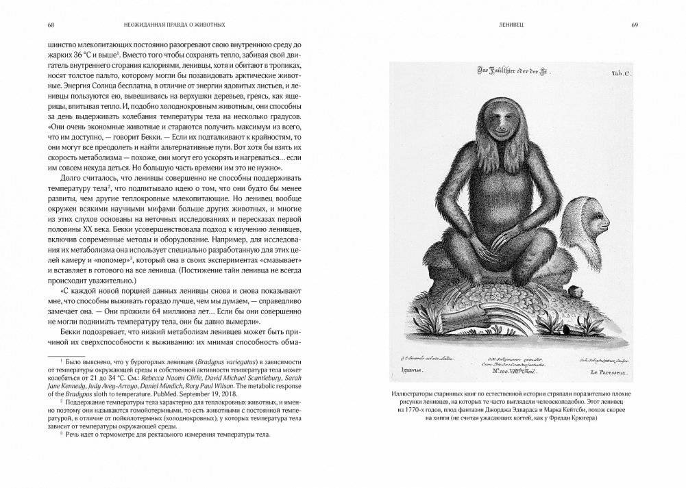 Неожиданная правда о животных. Муравей-тунеядец, влюбленный бегемот, феминистка гиена и другие дикие истории из дикой природы фото книги 7