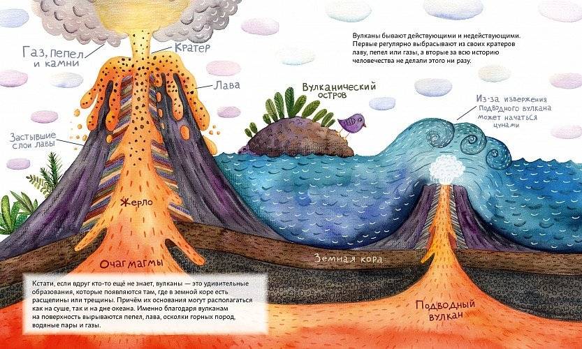 Мишки путешествуют на вулкан. Чёрный Нос и дальний поход фото книги 4