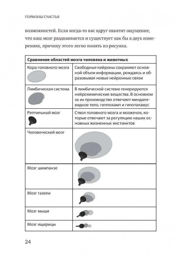 Гормоны счастья фото книги 2