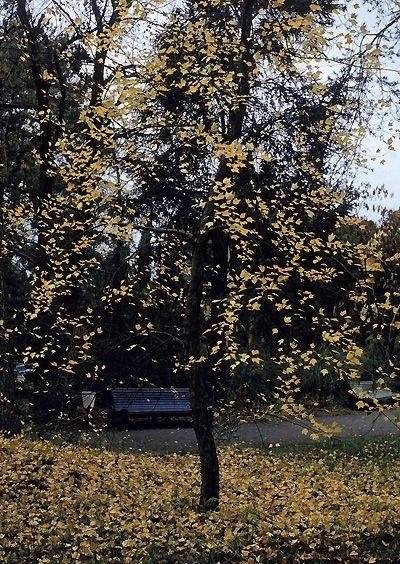 Дорога к дому (+ DVD) фото книги 5