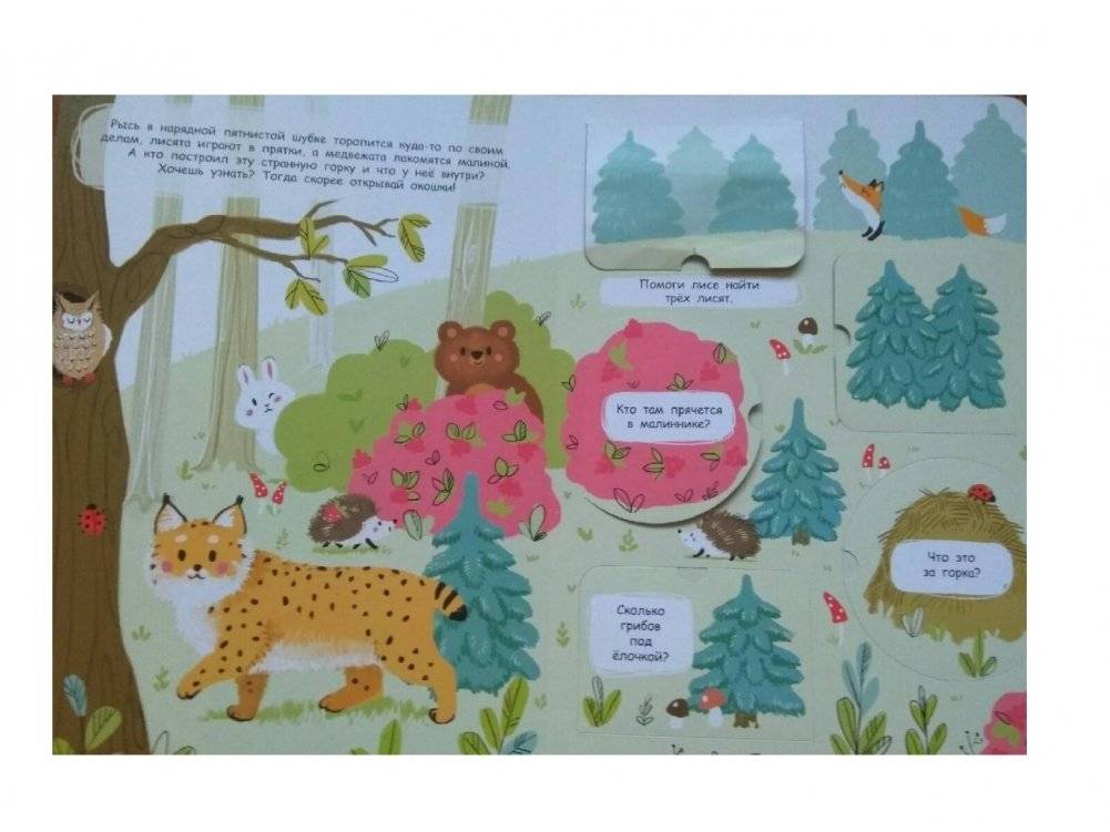 Книжка с окошками. В лесу фото книги 2