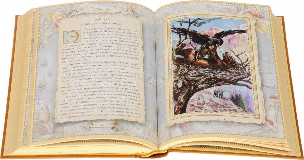 Золотой браслет. Охотники на медведя. Подарочное издание фото книги 4