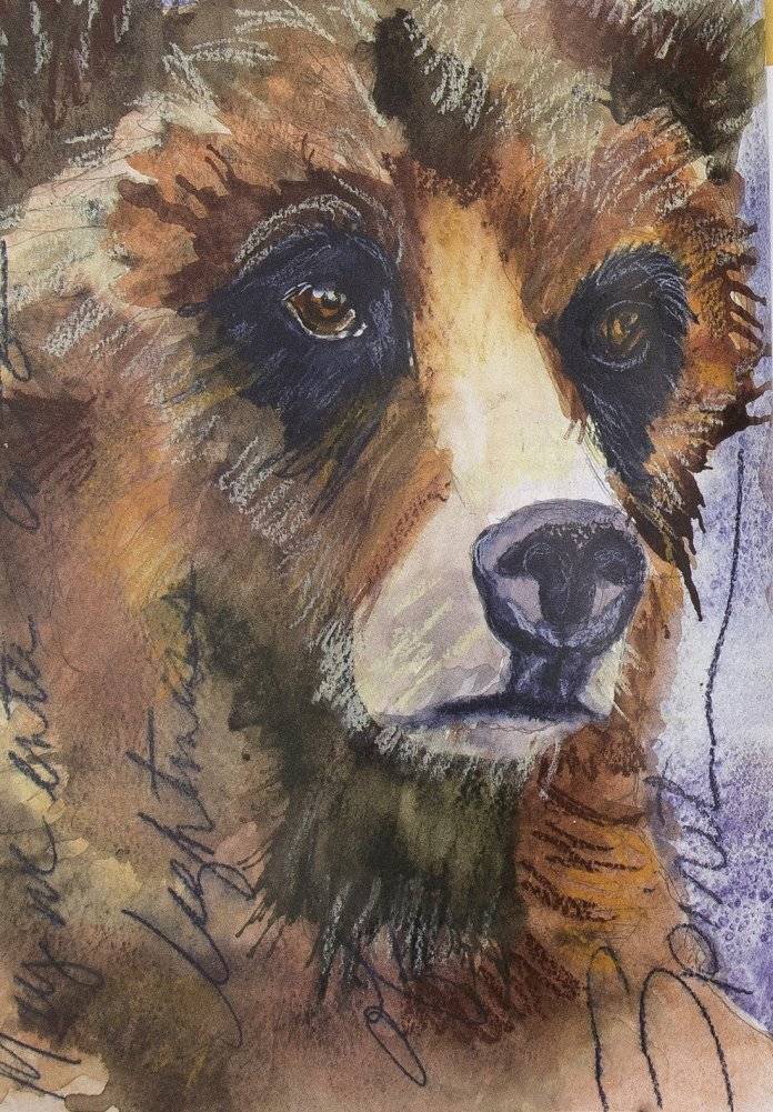 Акварельные животные фото книги 12