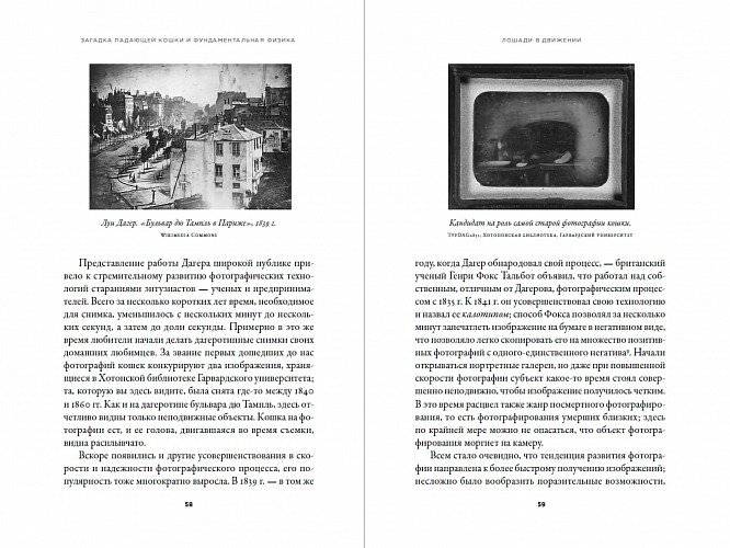 Загадка падающей кошки и фундаментальная физика фото книги 4