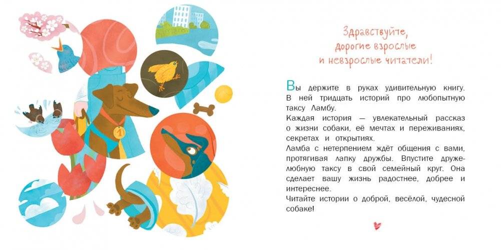 Волшебный нос. 30 историй для первого чтения фото книги 3