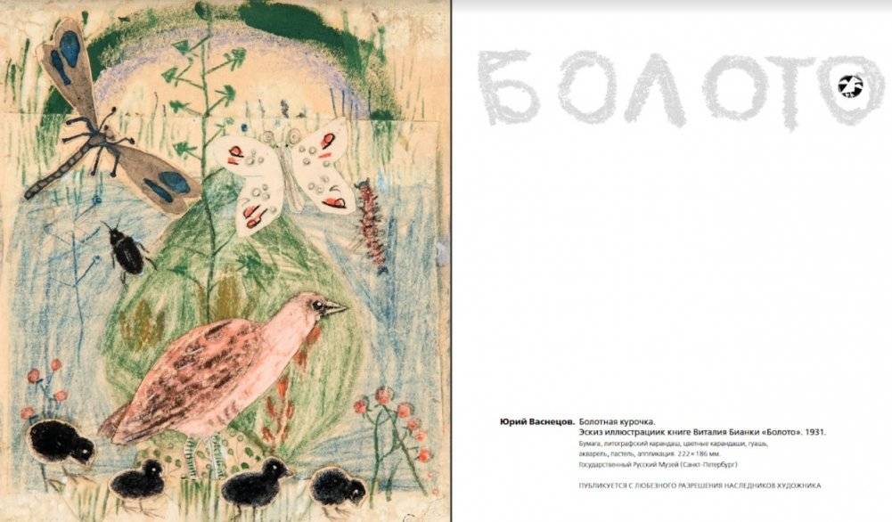 Болото фото книги 5