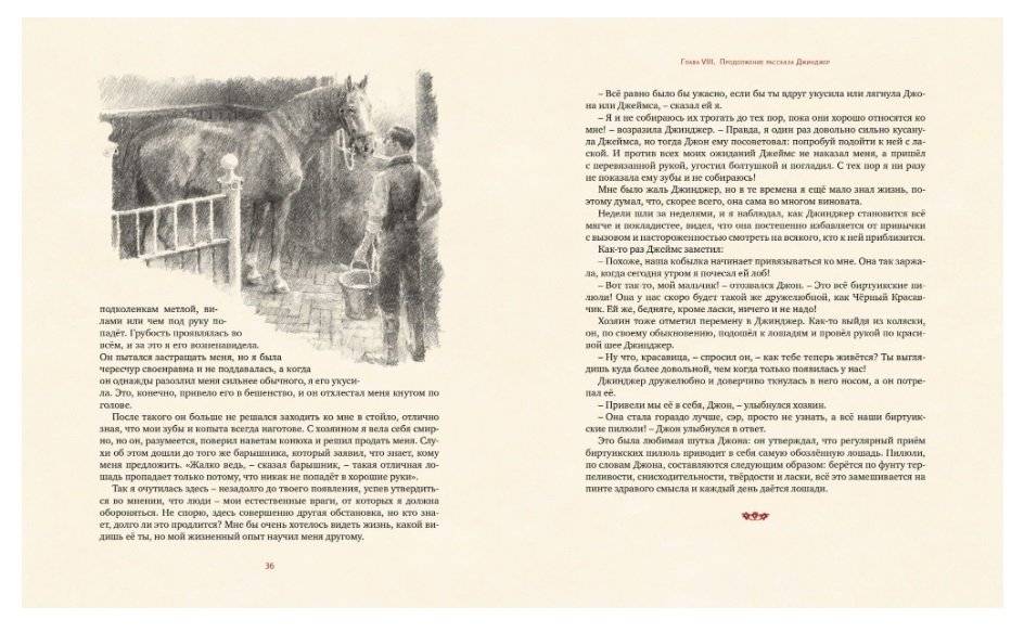 Чёрный красавчик фото книги 6