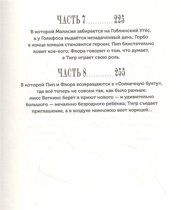 Изумительная Страна Снергов фото книги 4