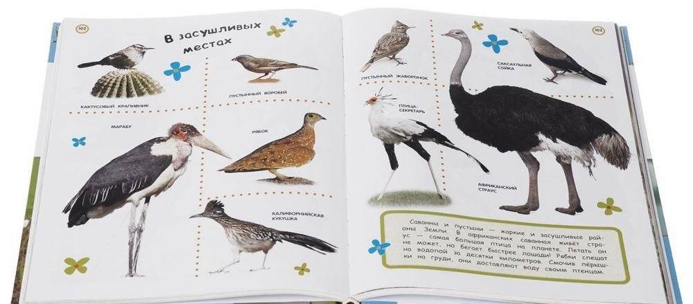 Большая энциклопедия в картинках фото книги 3