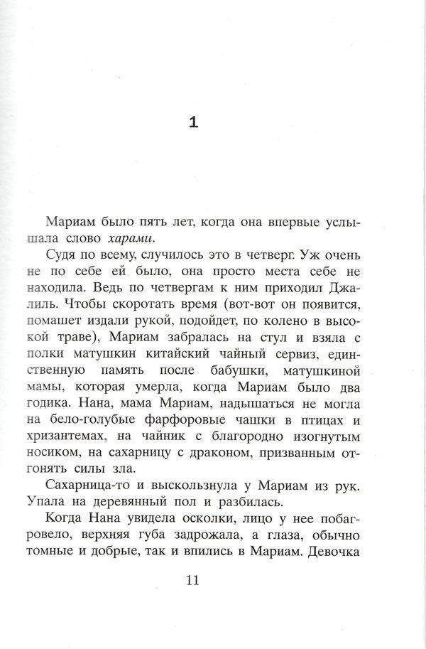 Тысяча сияющих солнц фото книги 2
