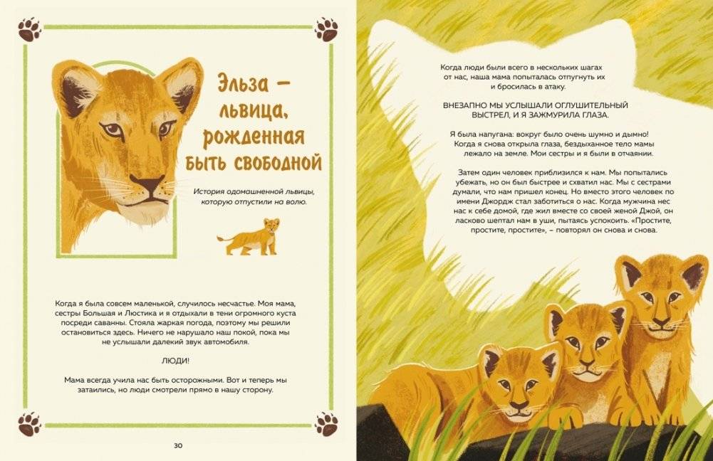 Животные-супергерои. Непридуманные истории для детей фото книги 2