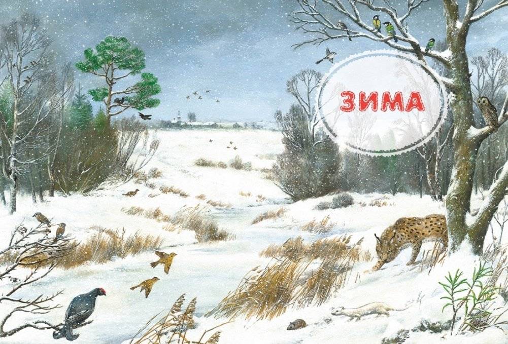 Большая лесная энциклопедия. Знакомимся с природой России фото книги 5