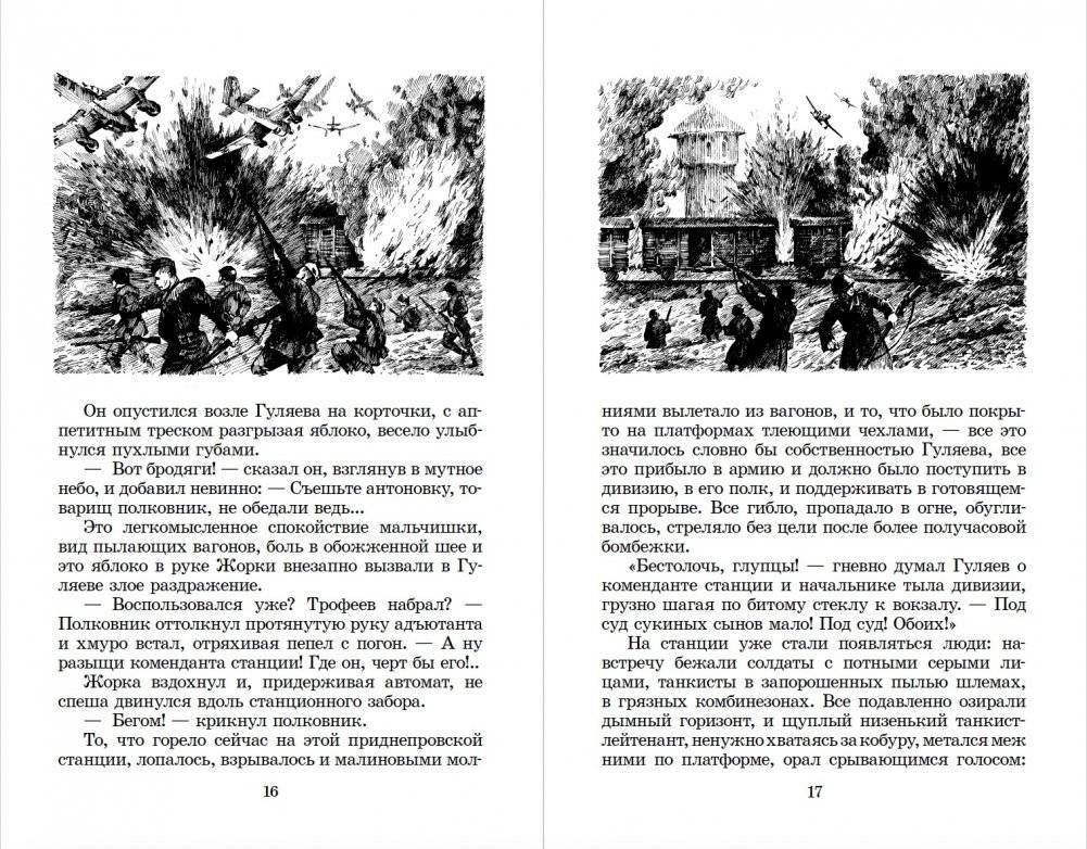 Батальоны просят огня фото книги 5