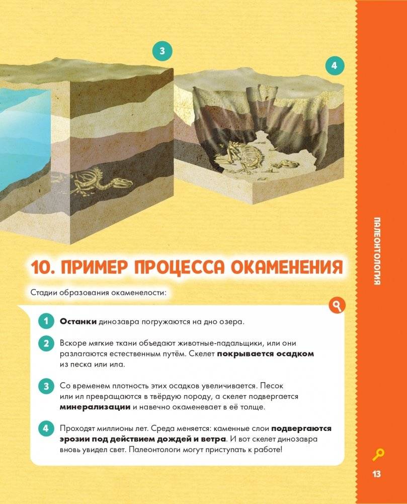 Динозавры фото книги 14