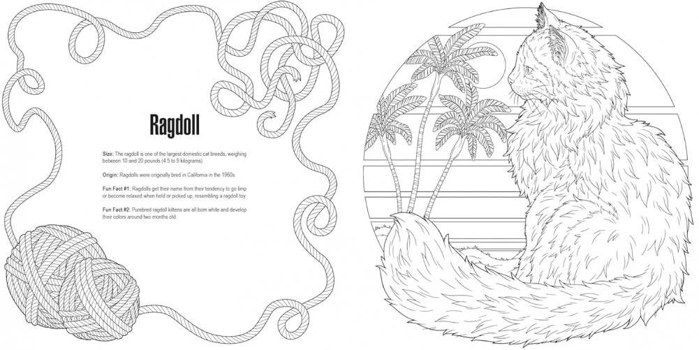 Cats: a Smithsonian Coloring Book фото книги 3