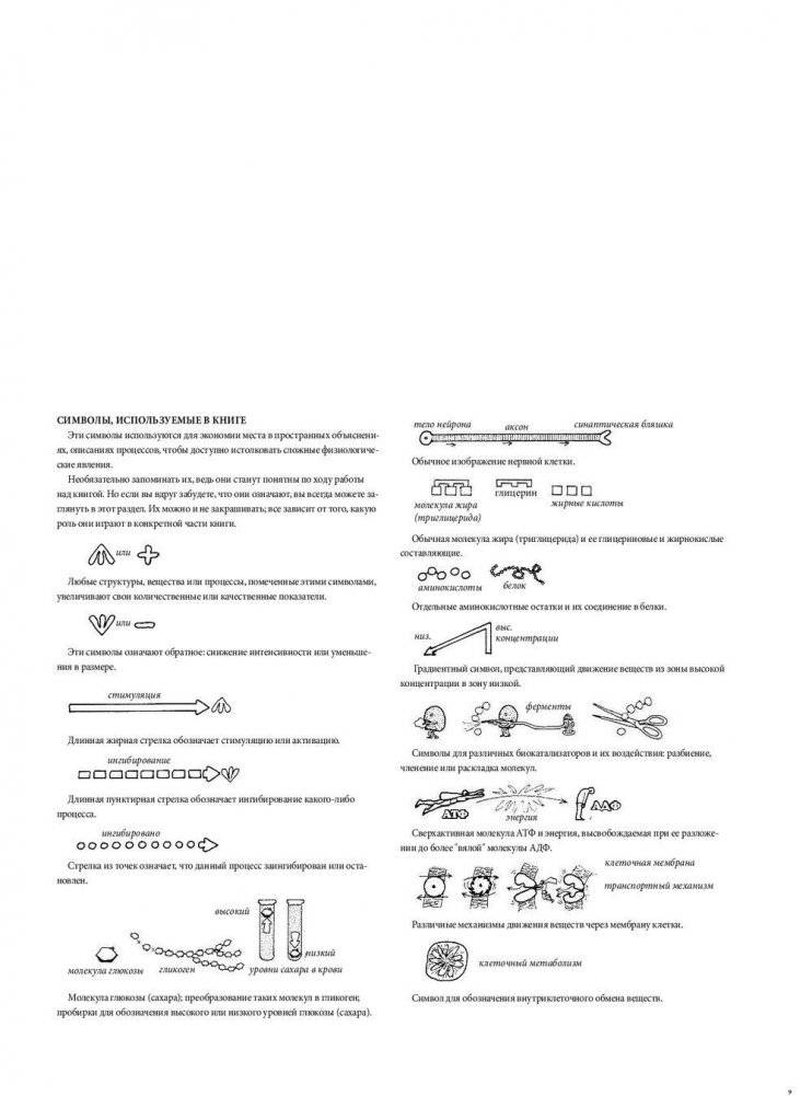 Физиология человека: атлас-раскраска фото книги 10