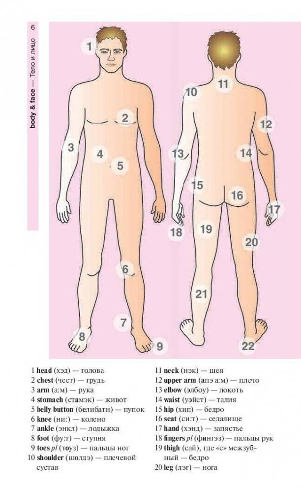 Английский язык в картинках фото книги 5