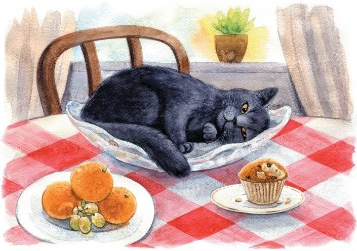 Приключения кота Альфреда фото книги 2