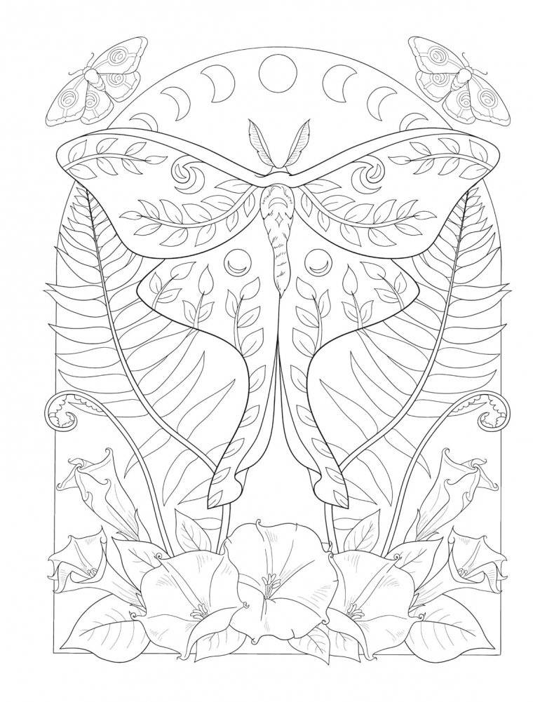 Creative Haven Witchcraft Coloring Book фото книги 4