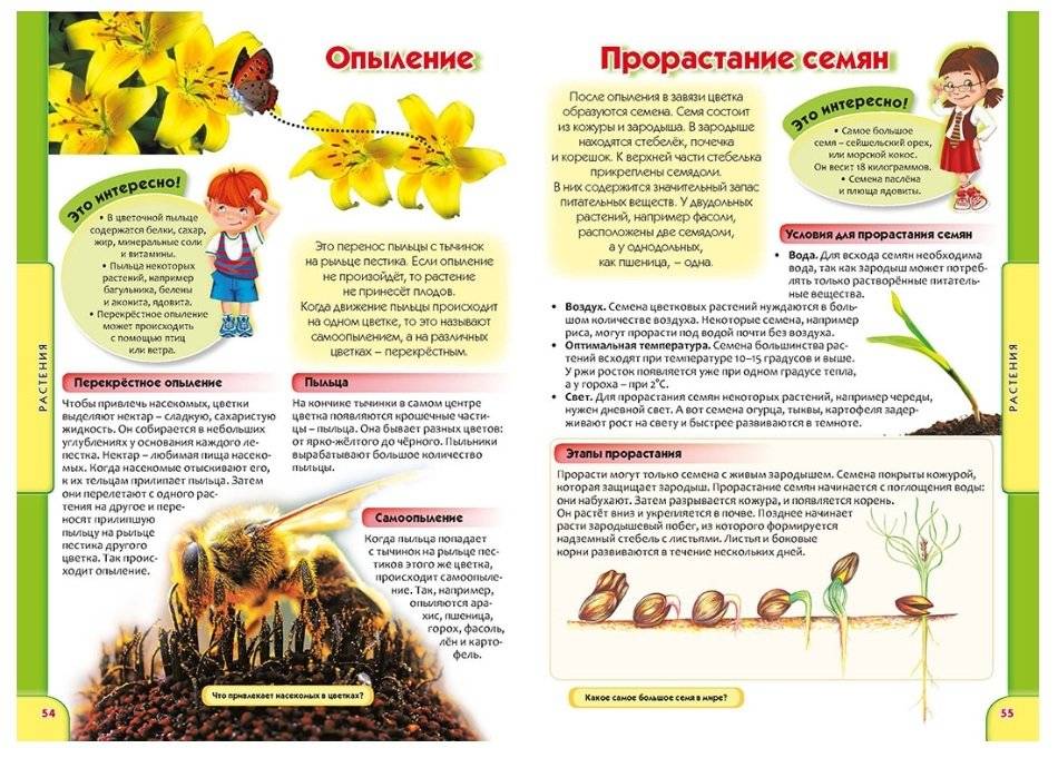 Детская энциклопедия в вопросах и ответах фото книги 4