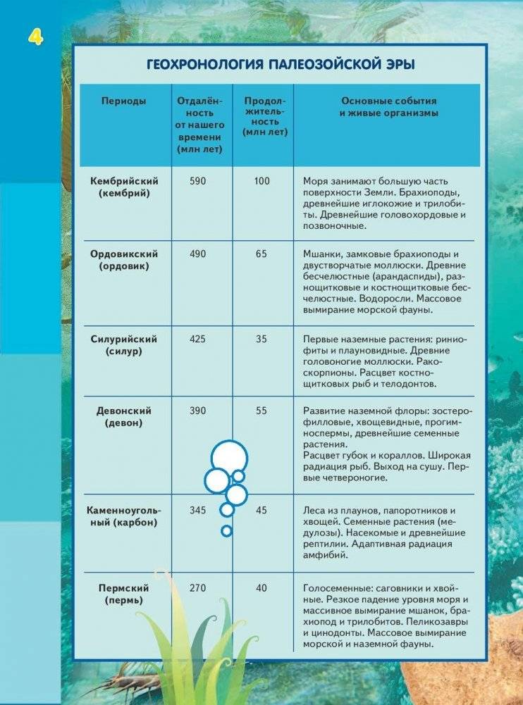 Эра динозавров фото книги 5