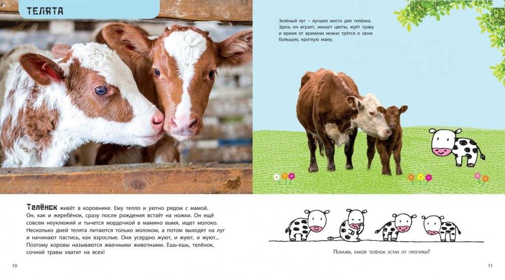 Это мой малыш! Детёныши разных животных фото книги 4