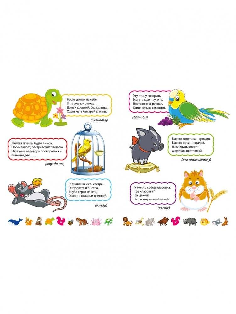 Лучшие загадки о животных фото книги 2