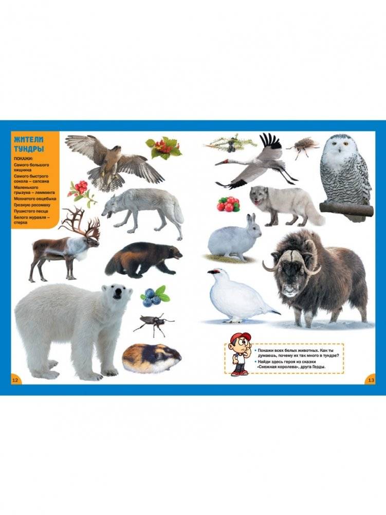Животные. Для детей от 3 до 6 лет фото книги 4