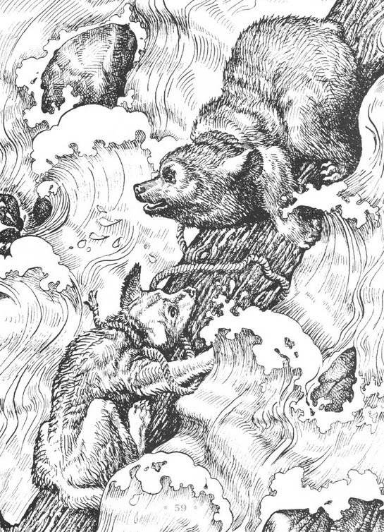 Бродяги Севера фото книги 2