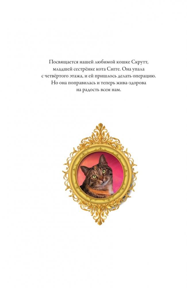 Макси и Амелия. Приключение в Линдриции фото книги 5