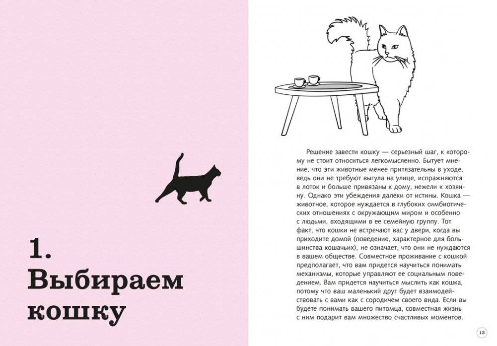 Гладить! Кормить! Любить! Замурчательное пособие по счастливой жизни с кошкой фото книги 5